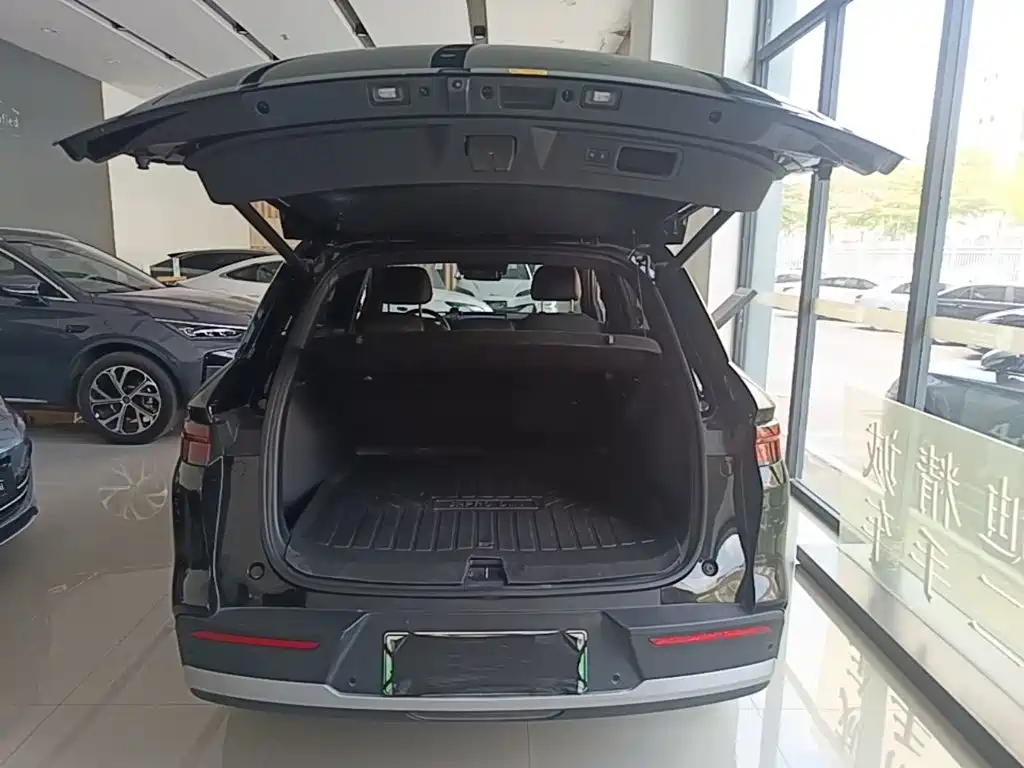 BYD Pro New Energy — миниатюра 19