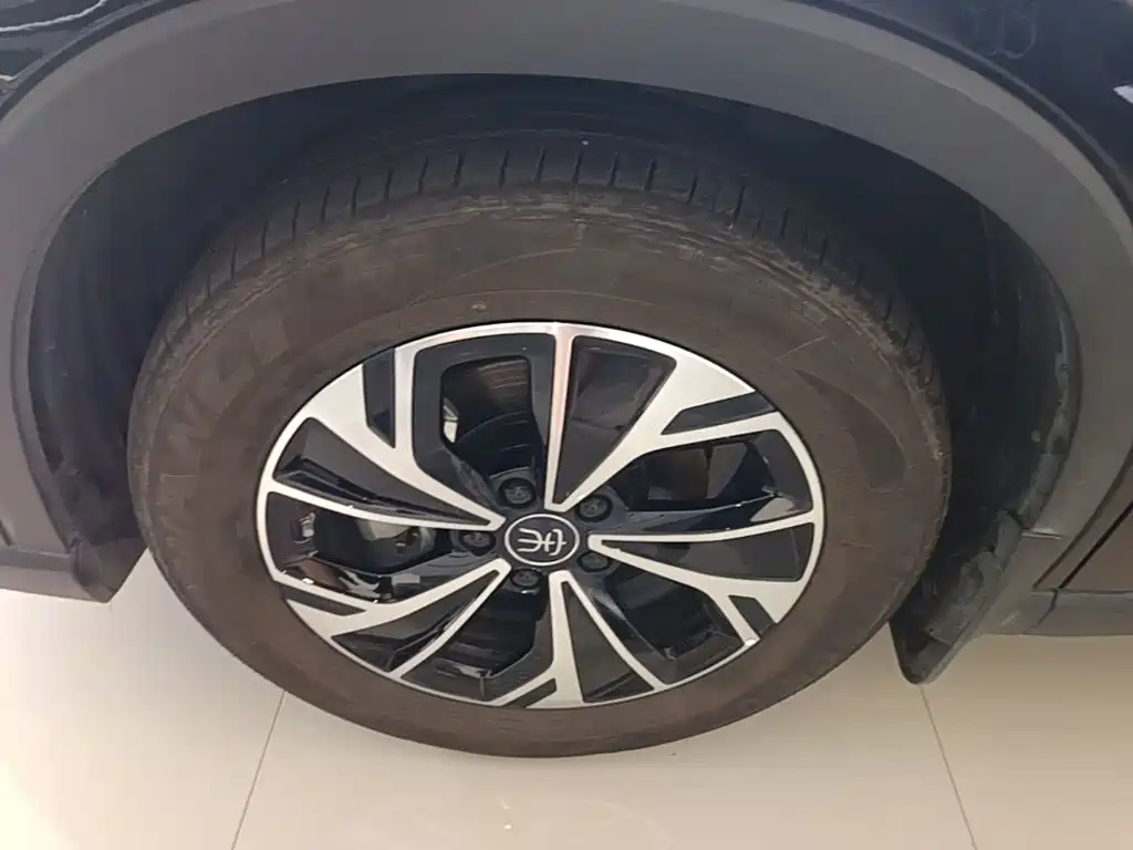 BYD Pro New Energy — миниатюра 23