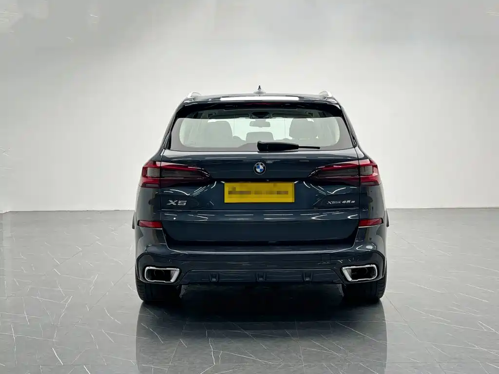 BMW X5 New Energy (Import) — миниатюра 5