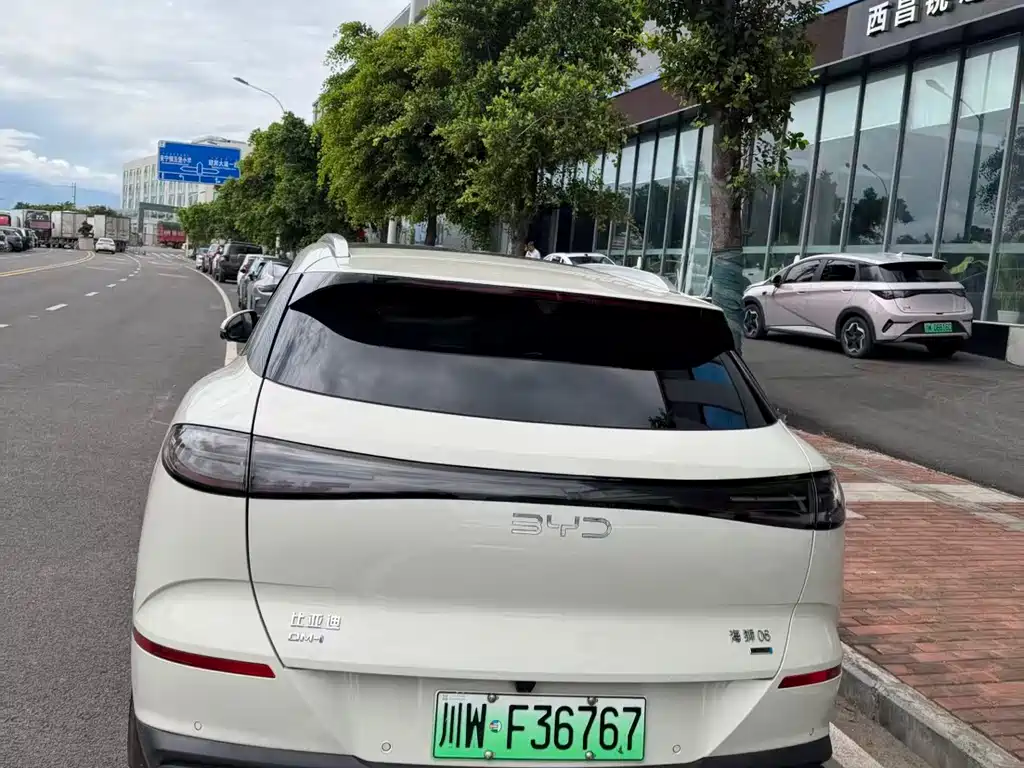BYD Haisi 06 — миниатюра 2