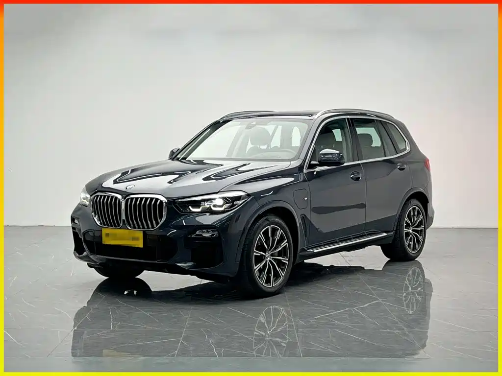 BMW X5 New Energy (Import)