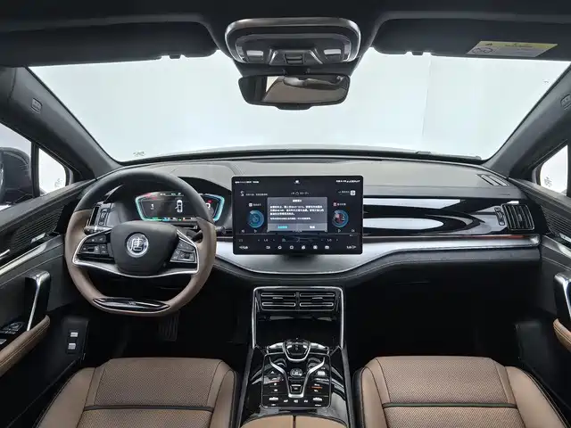 BYD Tang New Energy — миниатюра 2