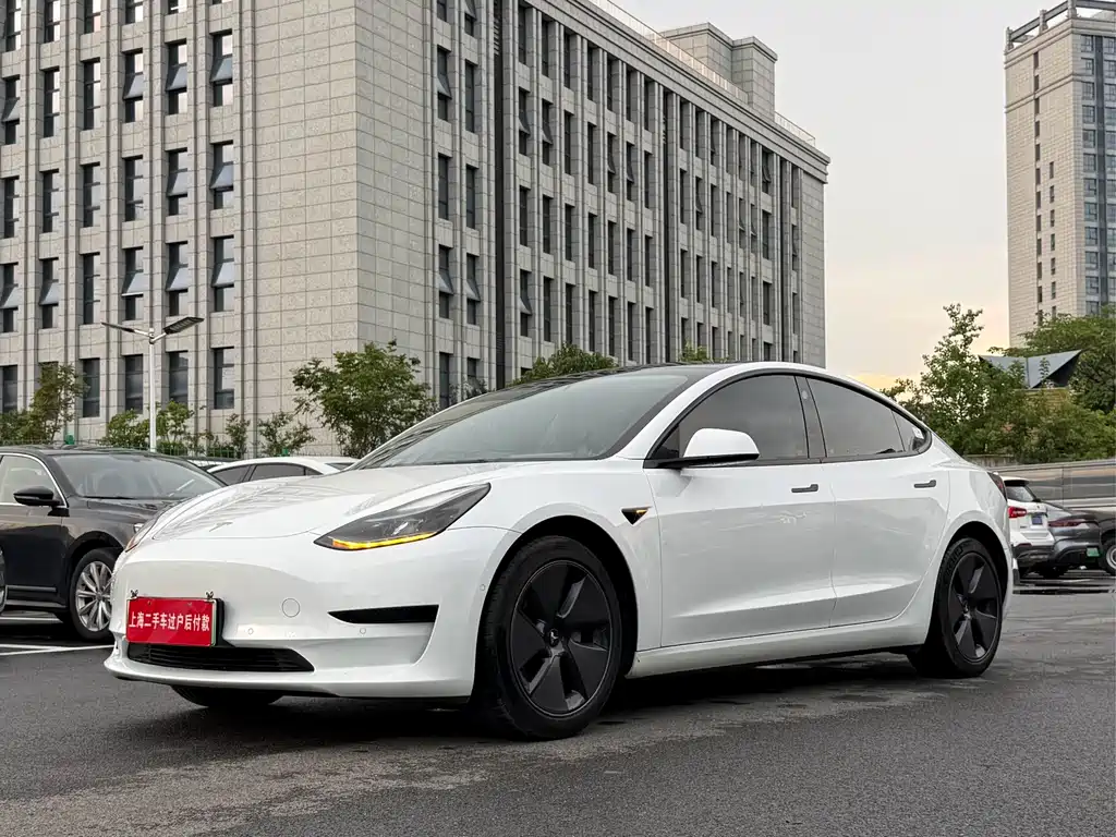 Tesla Model 3 — миниатюра 2