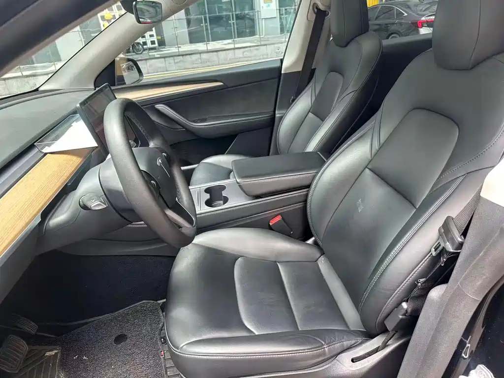Tesla Model Y — миниатюра 7