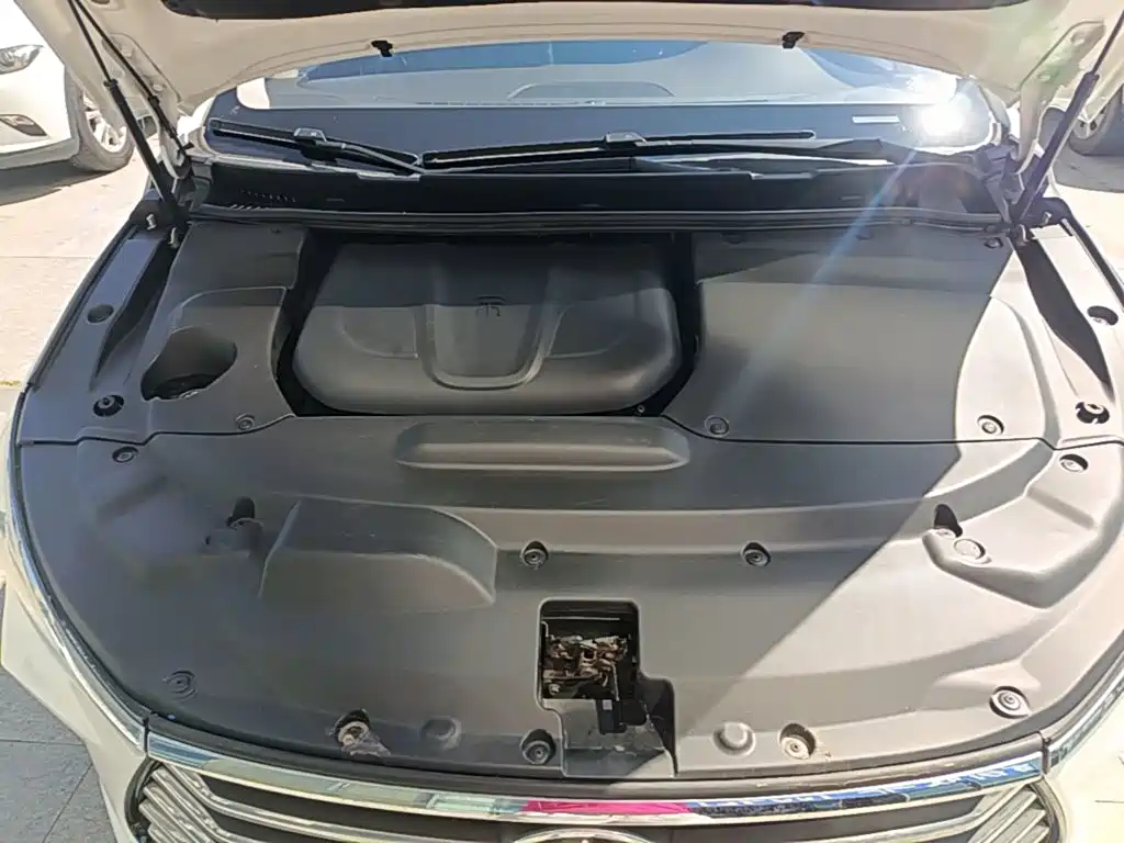 BYD MAX — миниатюра 20