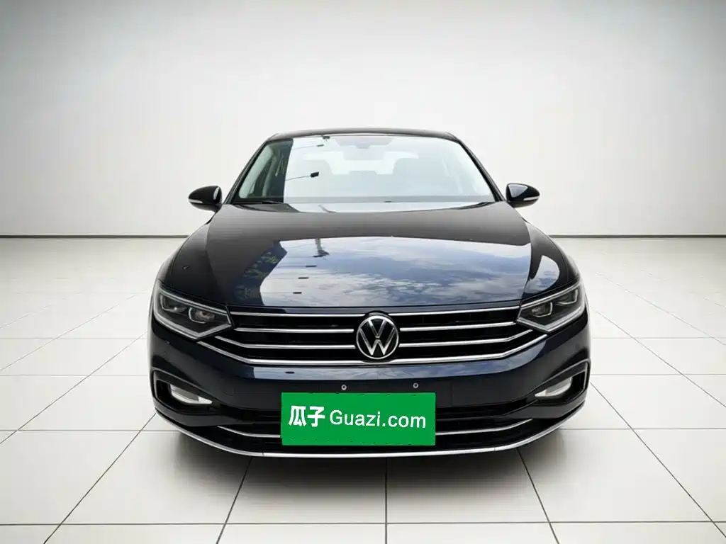 Volkswagen Magotan — миниатюра 2