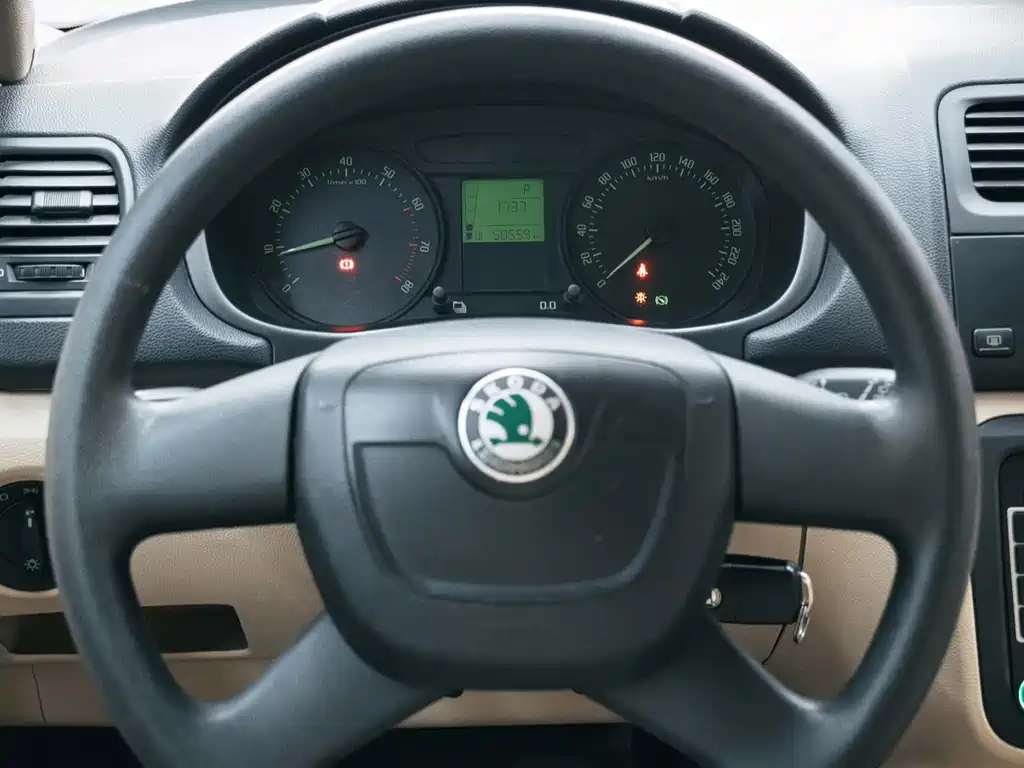 Skoda Fabia — миниатюра 13