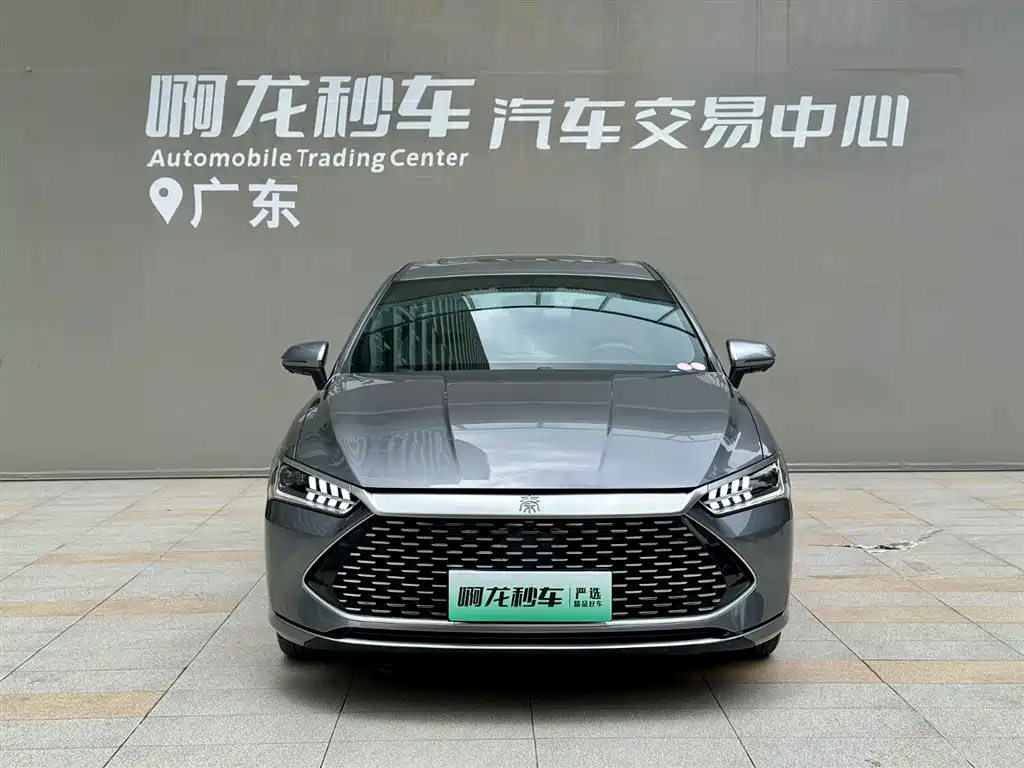 BYD Qin Plus PLUS 2023 Champion DM-i 55KM