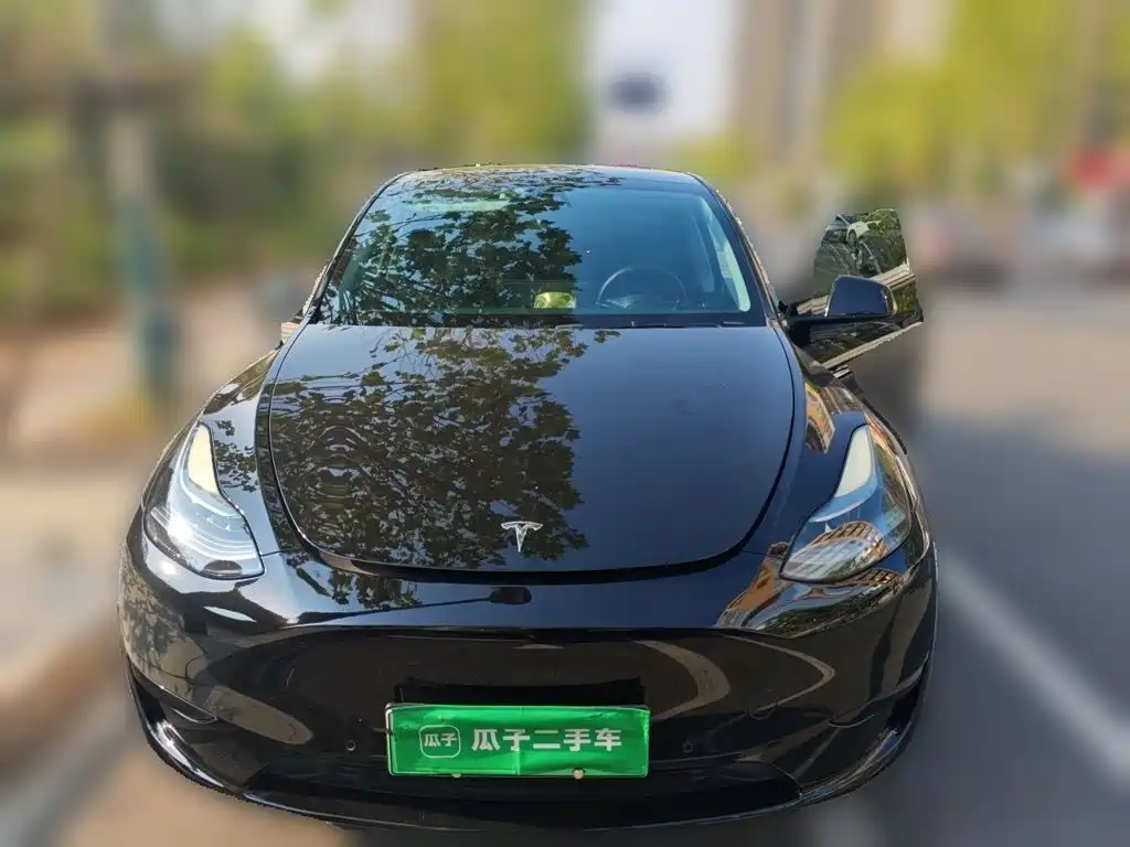Tesla Model Y — миниатюра 2