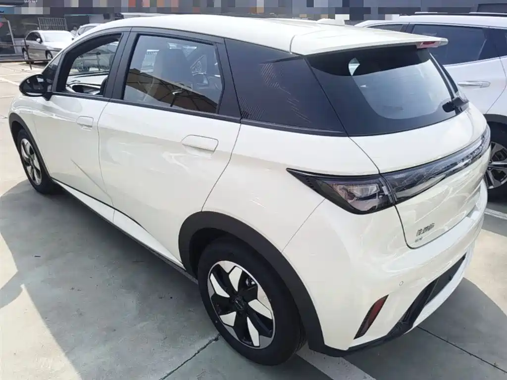 BYD Dolphin 2025 420km Freedom