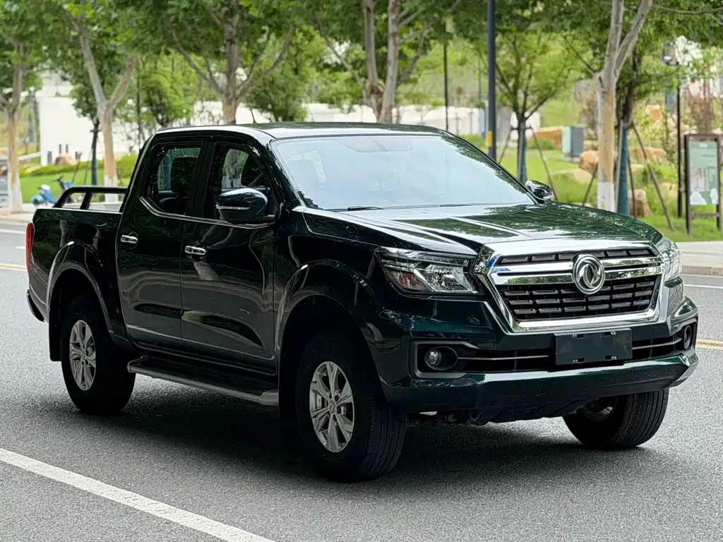 Dongfeng Rich 6 Pro - фото 3