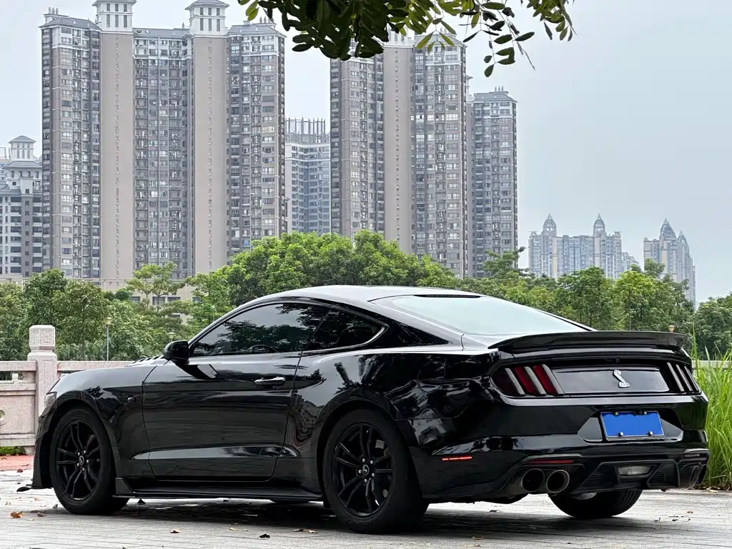 Ford Mustang — миниатюра 6