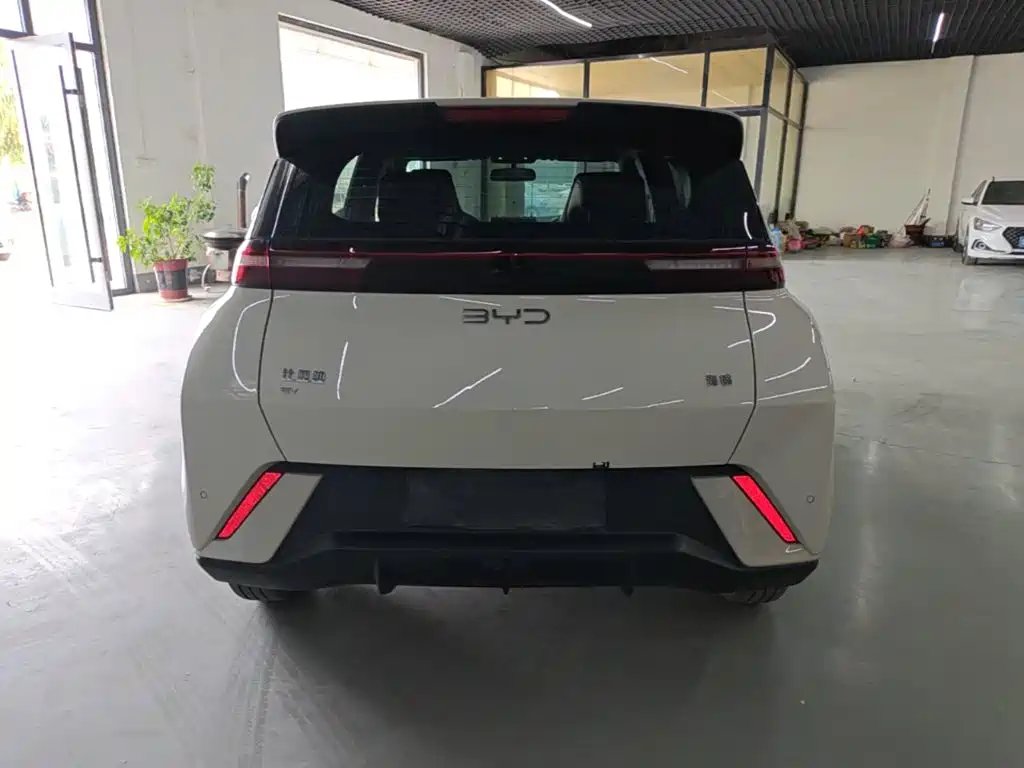 BYD Seagull 2024 305km