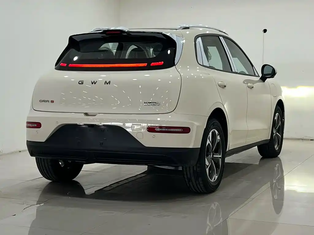 Ora Ora 5 EV — миниатюра 9