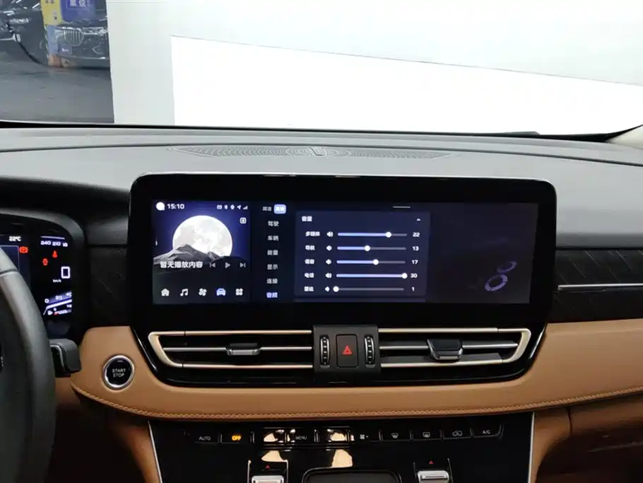 Hongqi HQ9 PHEV 2.0T 4WD Business Edition, фото 13