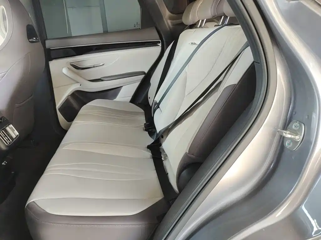 BYD PLUS New Energy — миниатюра 17
