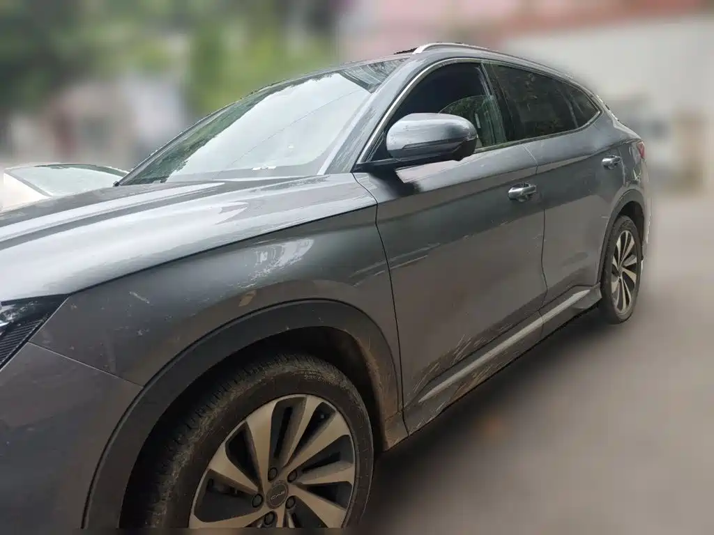 BYD PLUS New Energy — миниатюра 2