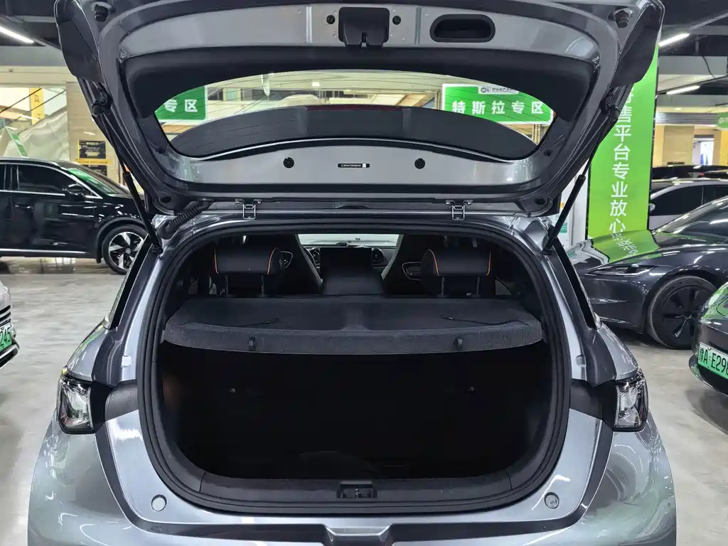 BYD Dolphin — миниатюра 11