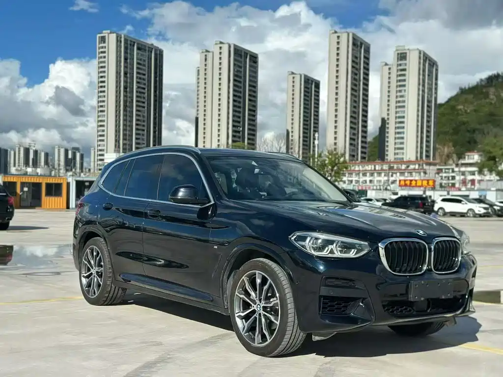BMW X3 — миниатюра 3