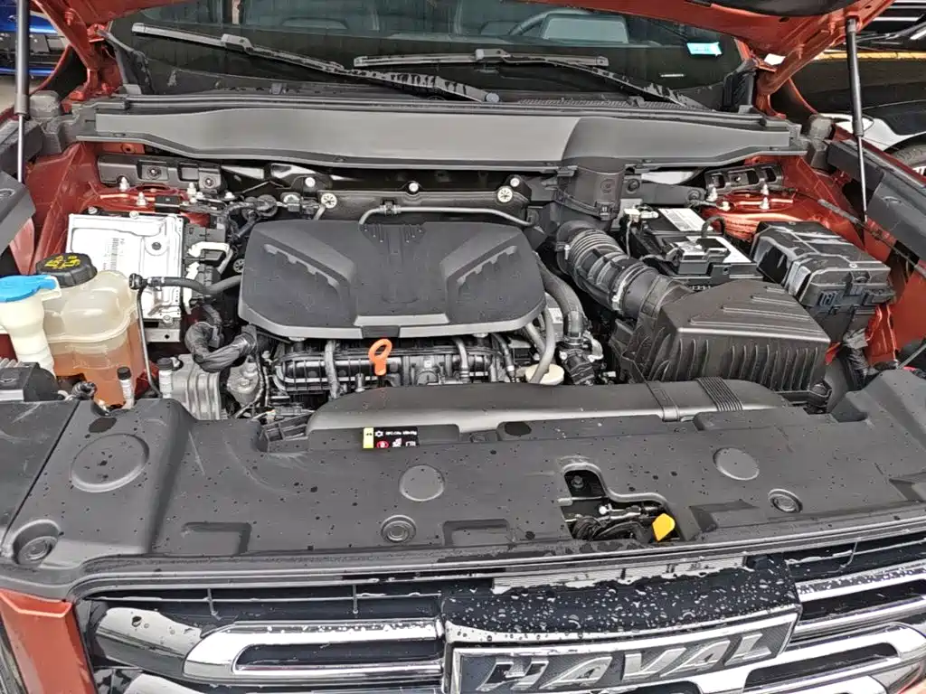 Haval Big Dog — миниатюра 20