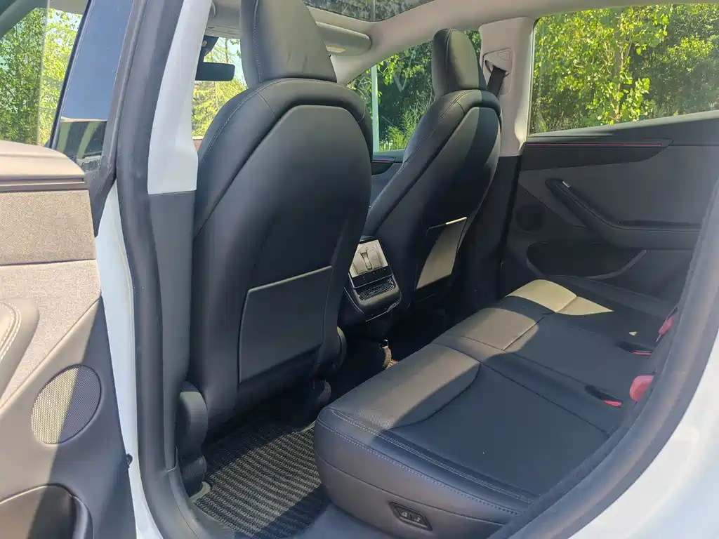 Tesla Model Y — миниатюра 6