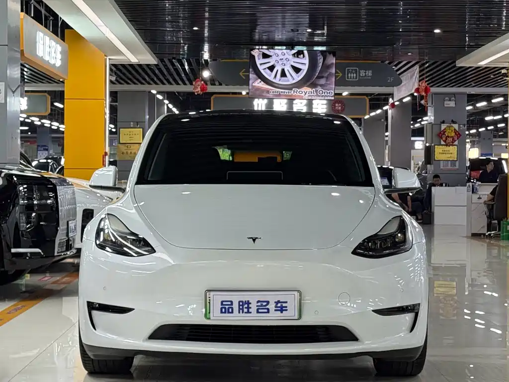 Tesla Model Y — миниатюра 2