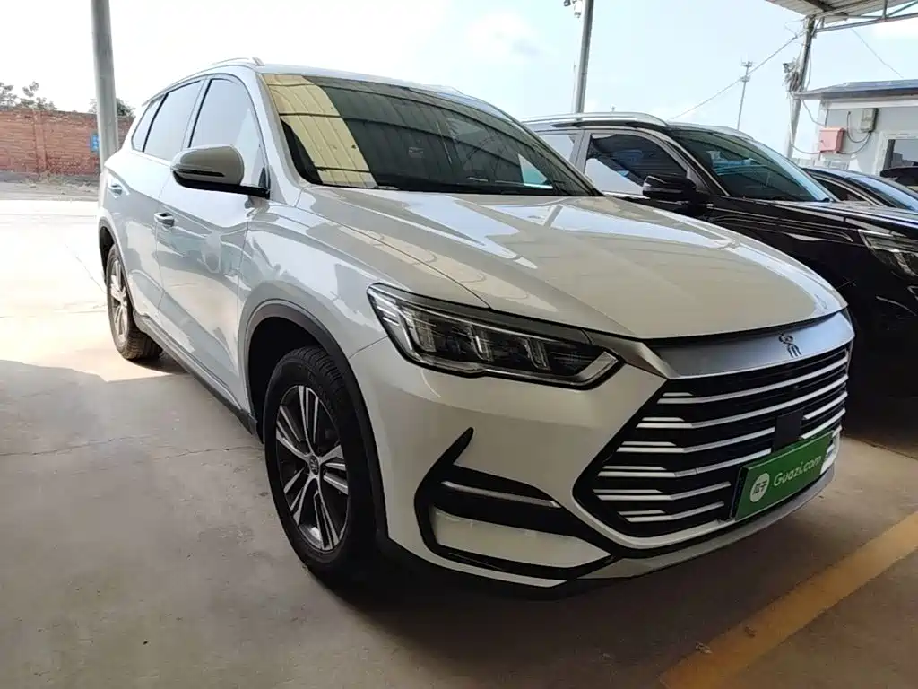 BYD Pro — миниатюра 4