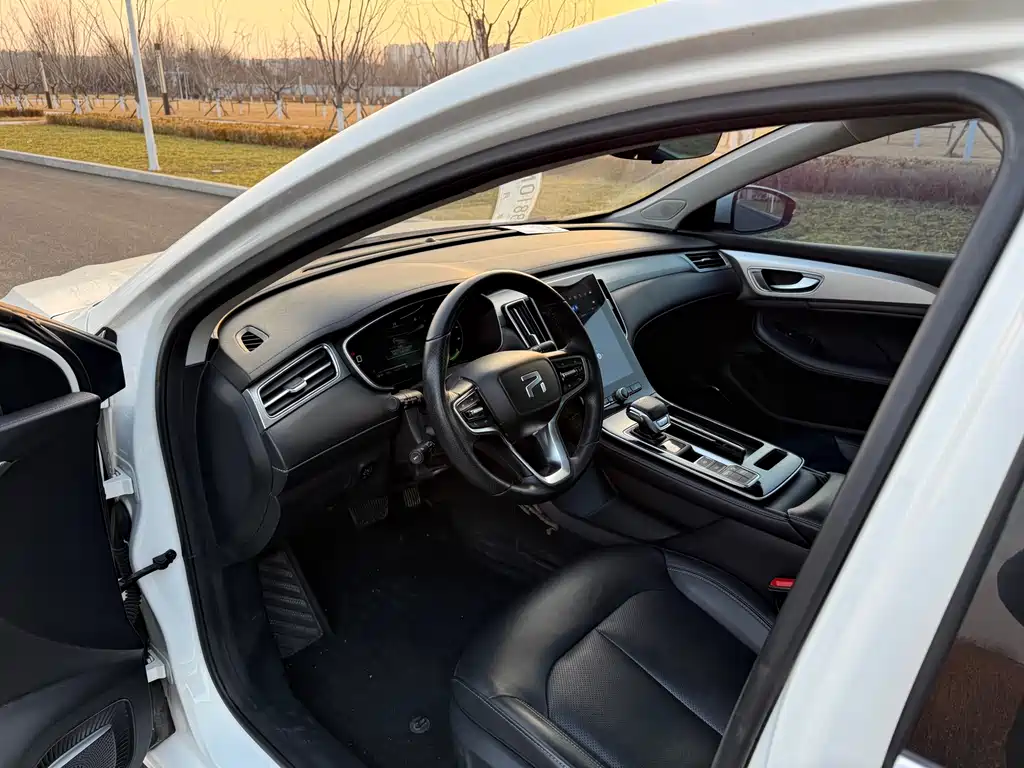 RISING AUTO FEIFAN ER6