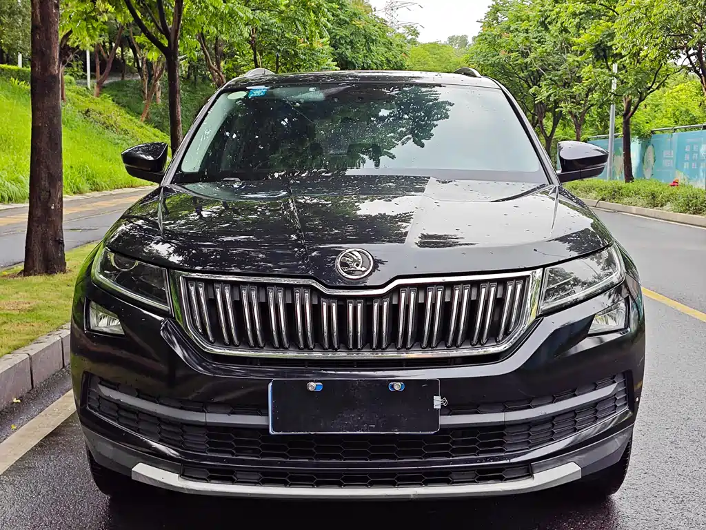 Skoda Kodiaq 2018 TSI330 5 мест Luxury