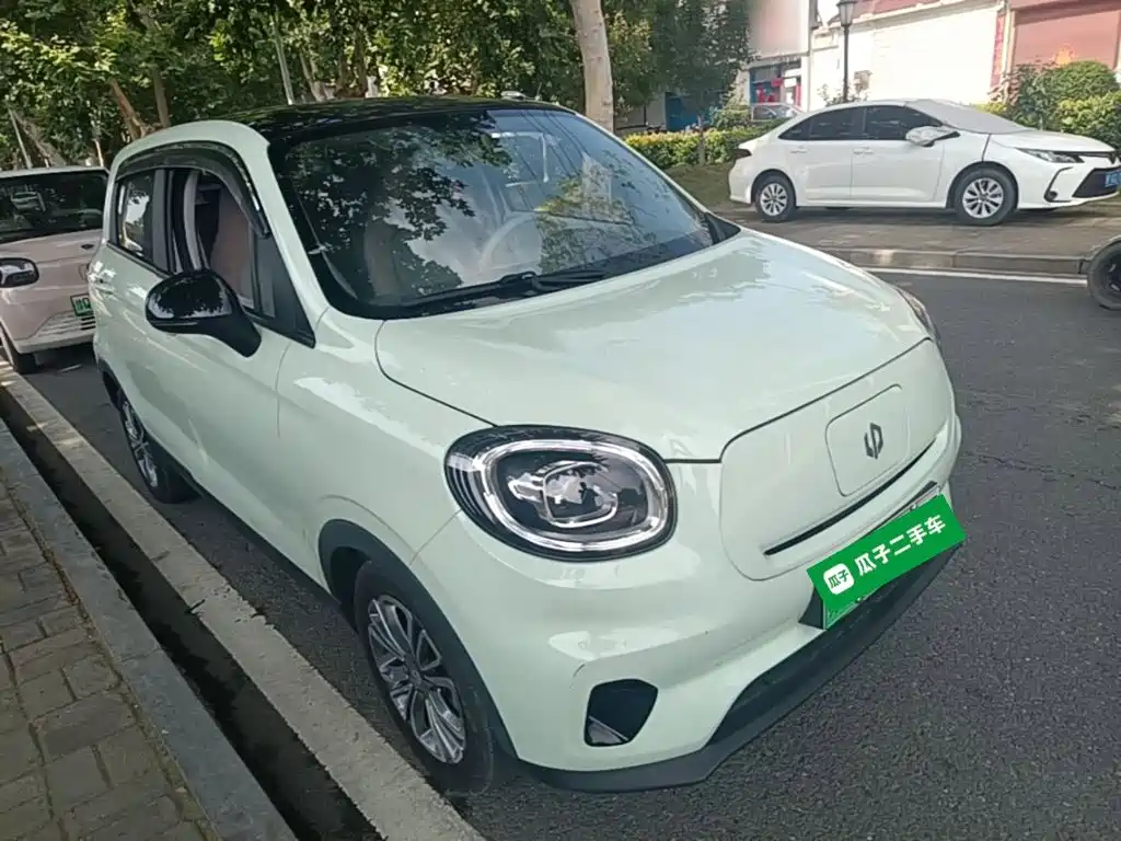 Leapmotor T03 2024 310