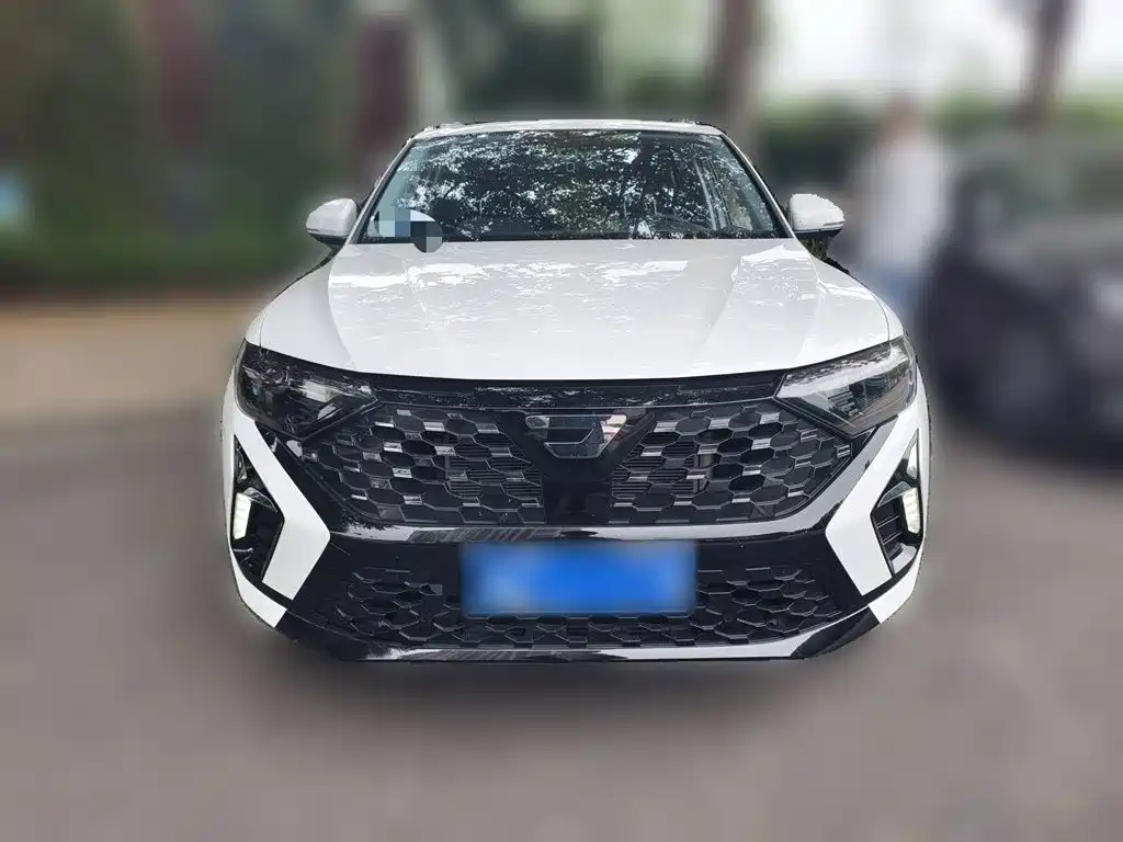 Jetta VS5 — миниатюра 2