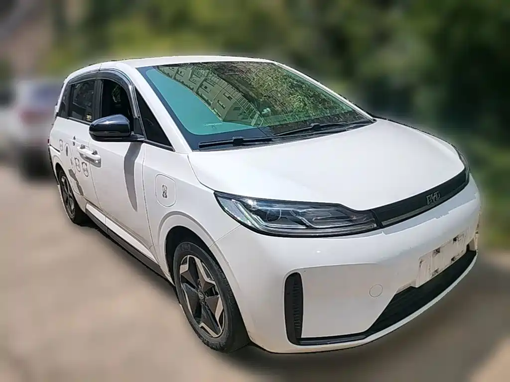 BYD D1 — миниатюра 6