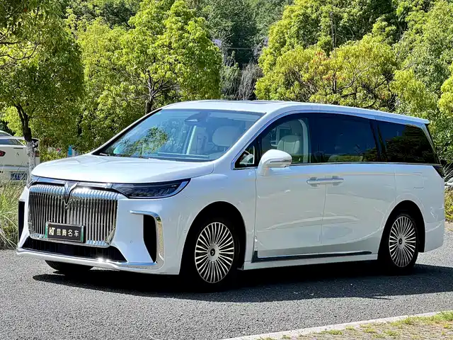 2025 Voyah Dream