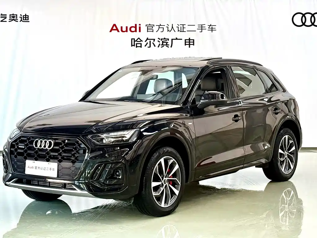 Audi Q5L 0
