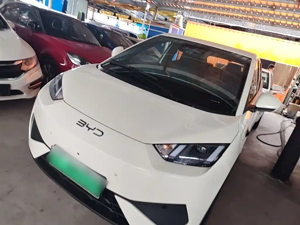 Byd Seagull 2025