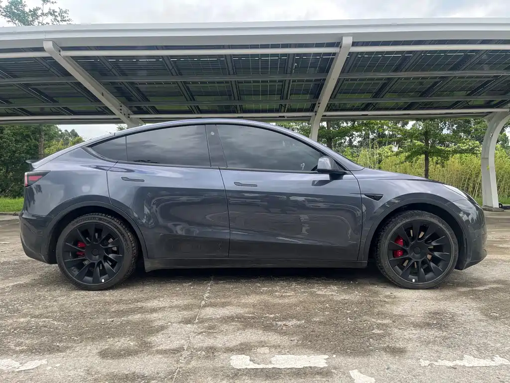 Tesla Model Y — миниатюра 4