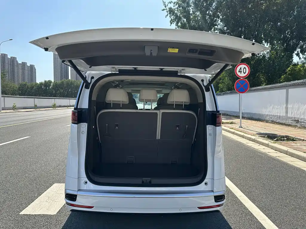 Denza Denza D9 — миниатюра 10