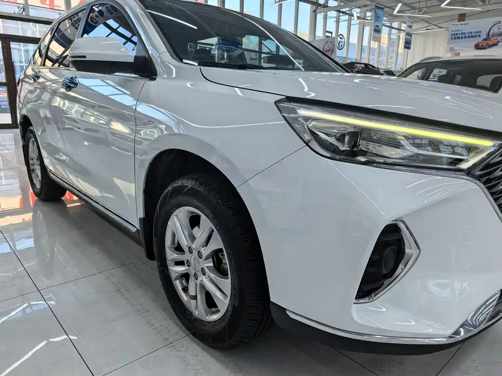 HAVAL M6