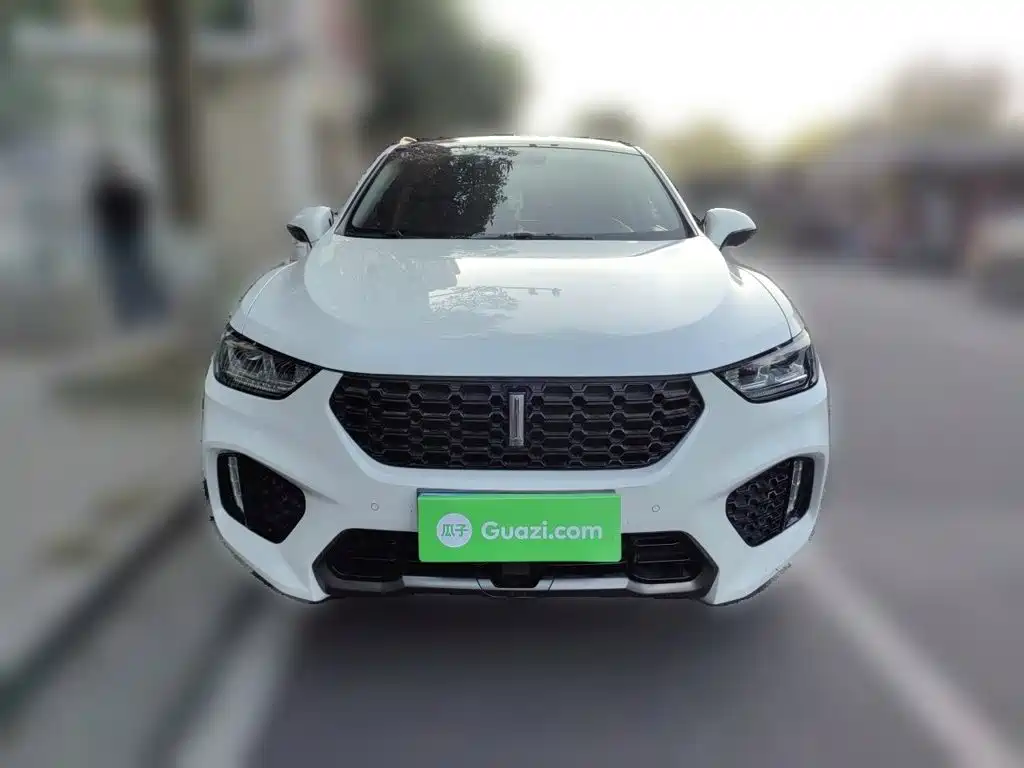 Wey Wey VV5 — миниатюра 23