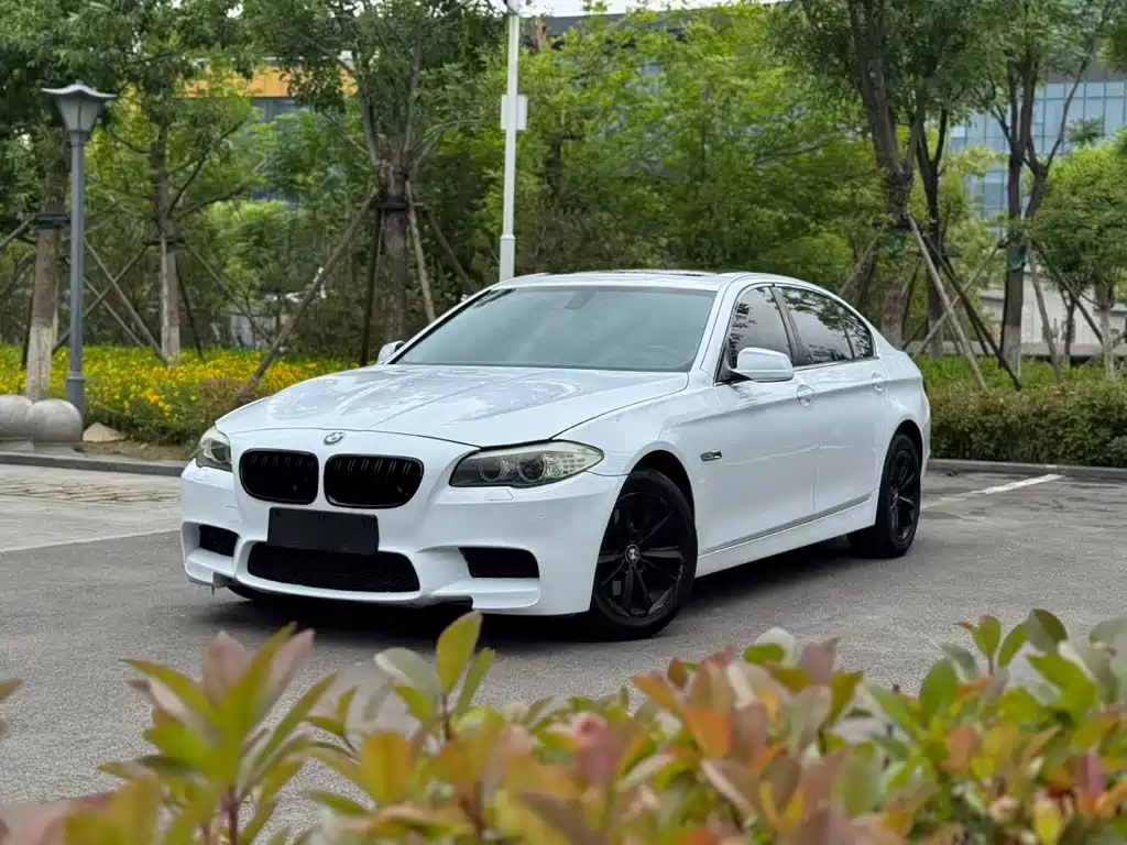 BMW 5 Series 5 2011 523Li Lead