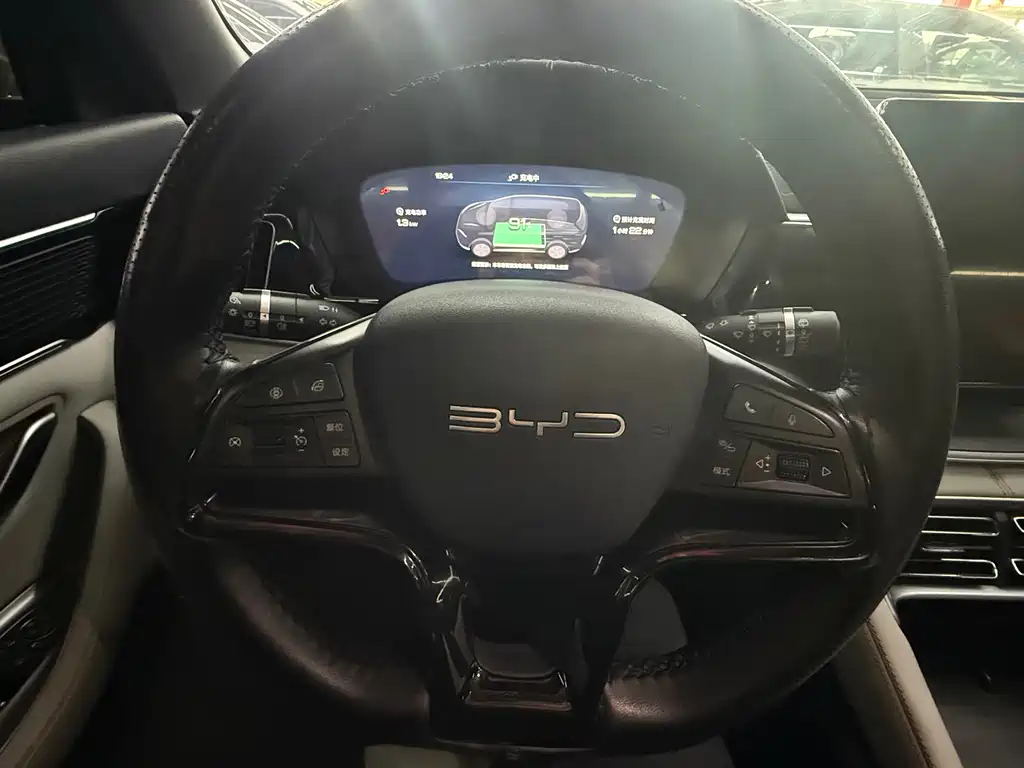 BYD SONGJIANG NEW ENERGY