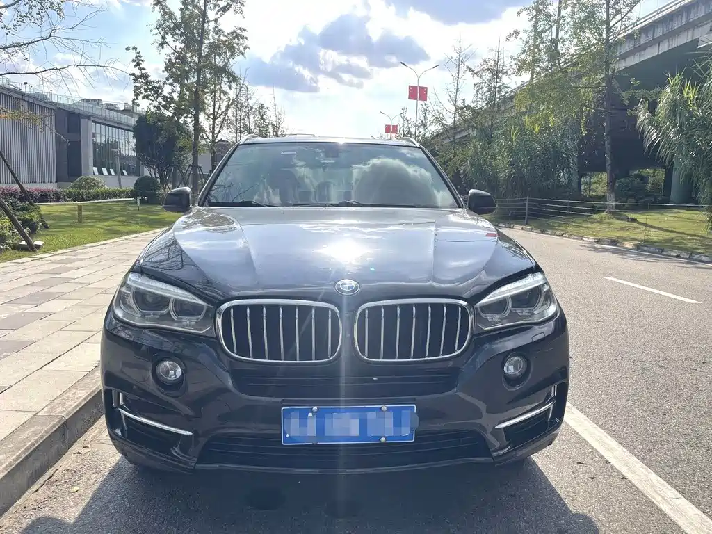 BMW X5 (Import) — миниатюра 2
