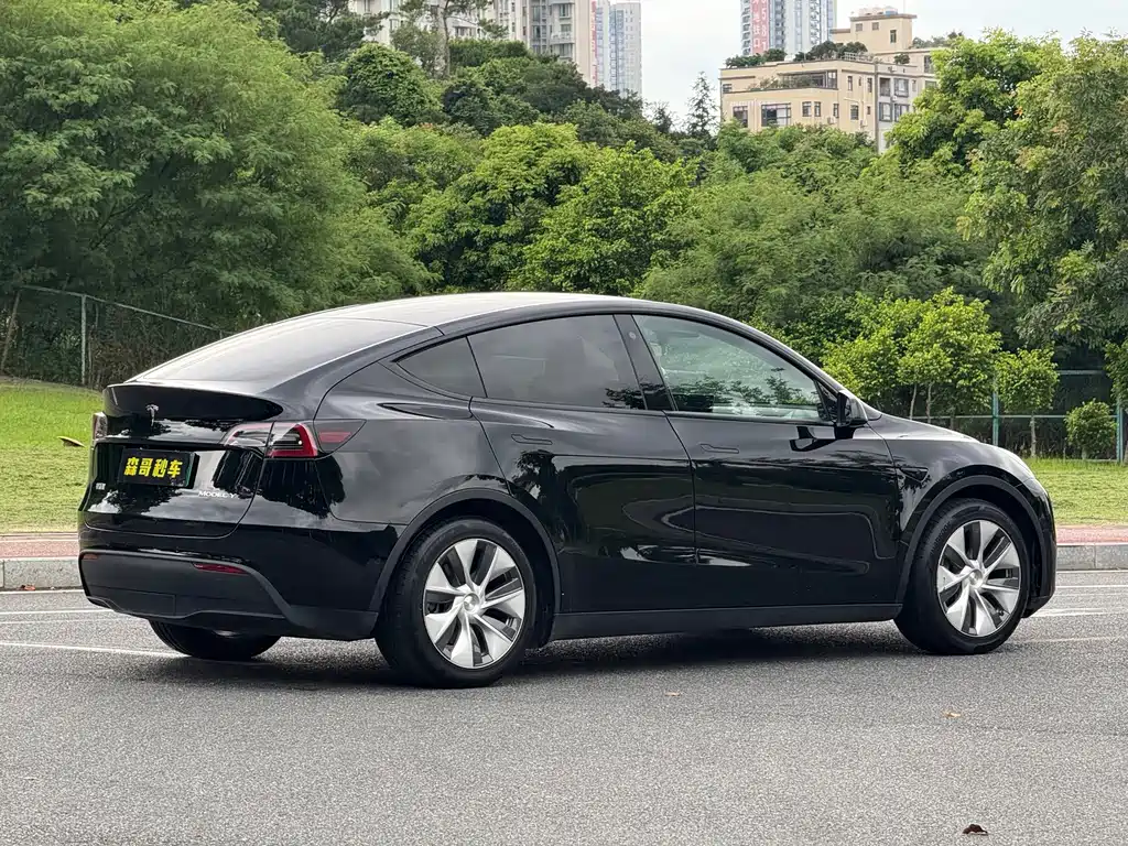 Tesla Model Y — миниатюра 11