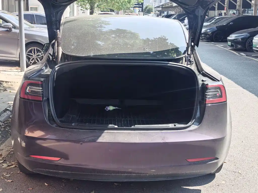 Tesla Model 3 — миниатюра 13