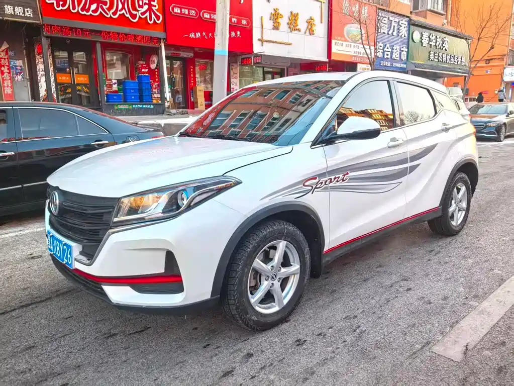 Fengguang Fengguang 500 2021