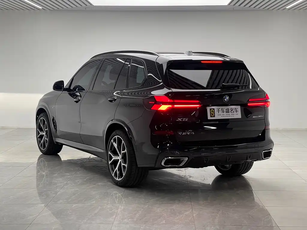 BMW X5 — миниатюра 4