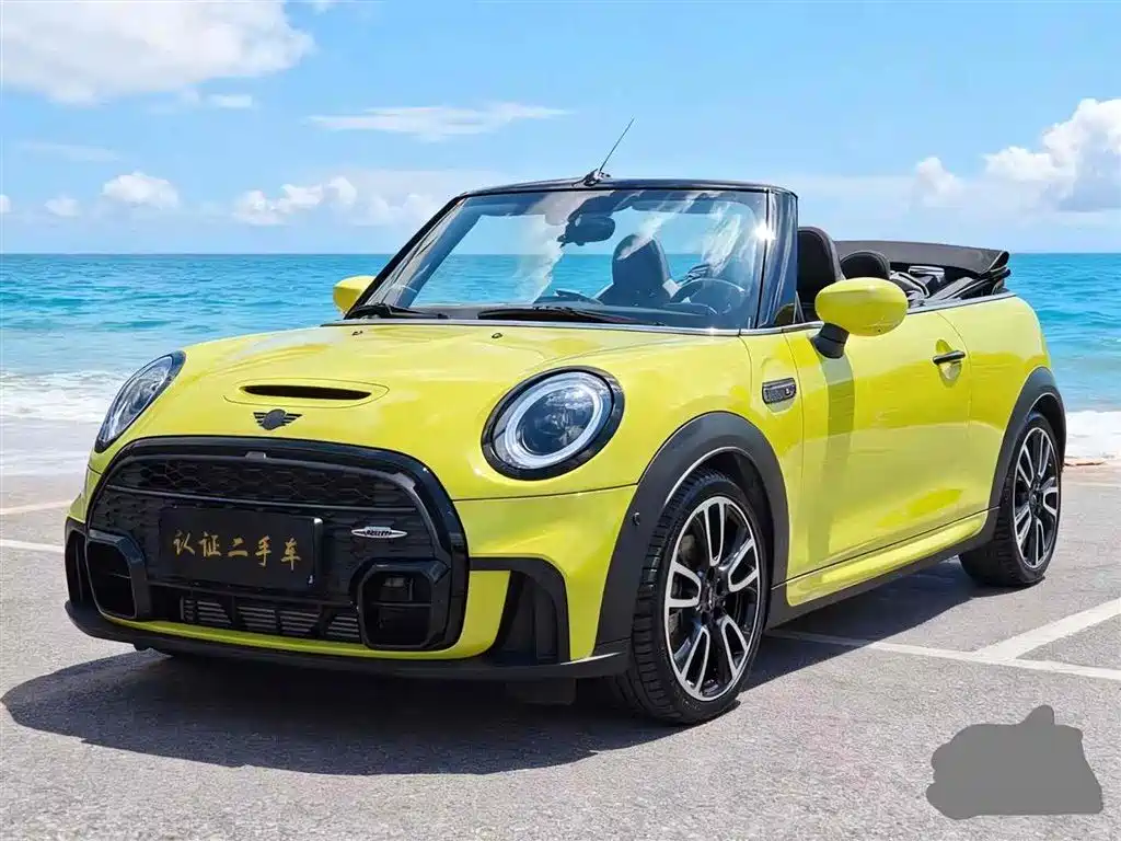 Mini Mini 2022