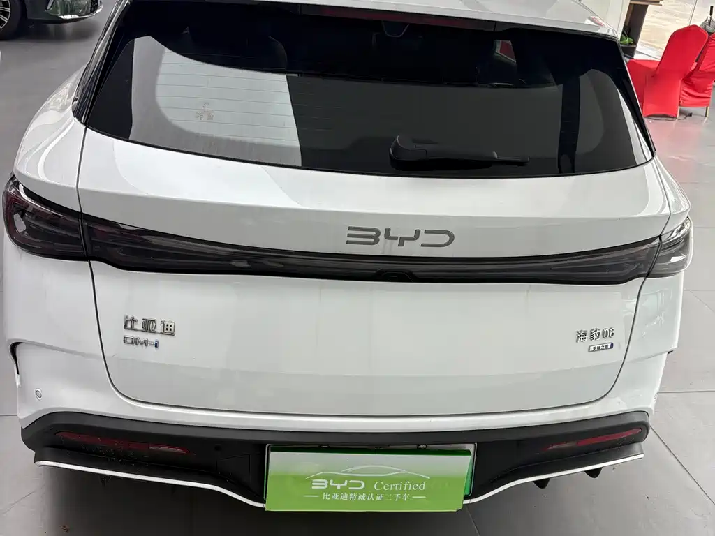 BYD Seal 06 DM-i Touring — миниатюра 6