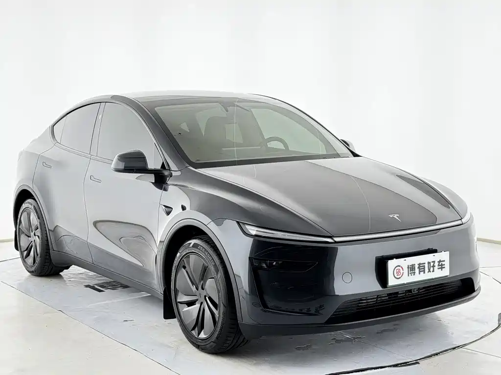 Tesla Model Y — миниатюра 7