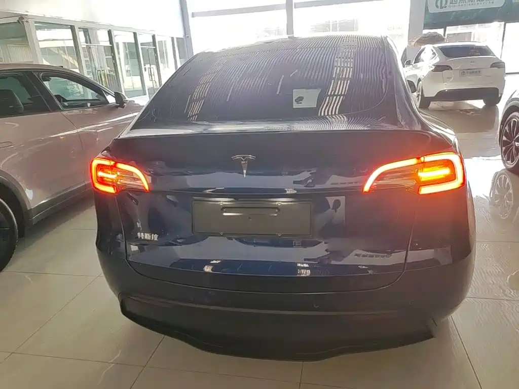 Tesla Model Y — миниатюра 6